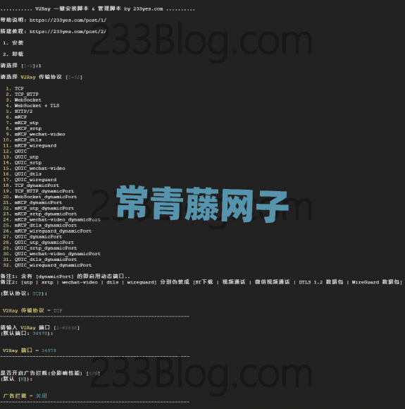 Linux宝塔面板 + Nginx服务环境下，v2ray配置双模式（Websocket 或 Websocket + TLS）