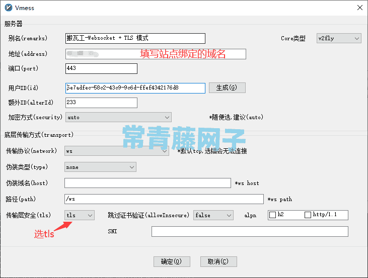 《Linux宝塔面板 + Nginx服务环境下，v2ray配置双模式（Websocket 或 Websocket  + TLS）》