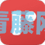 中国人主导的编程语言列表