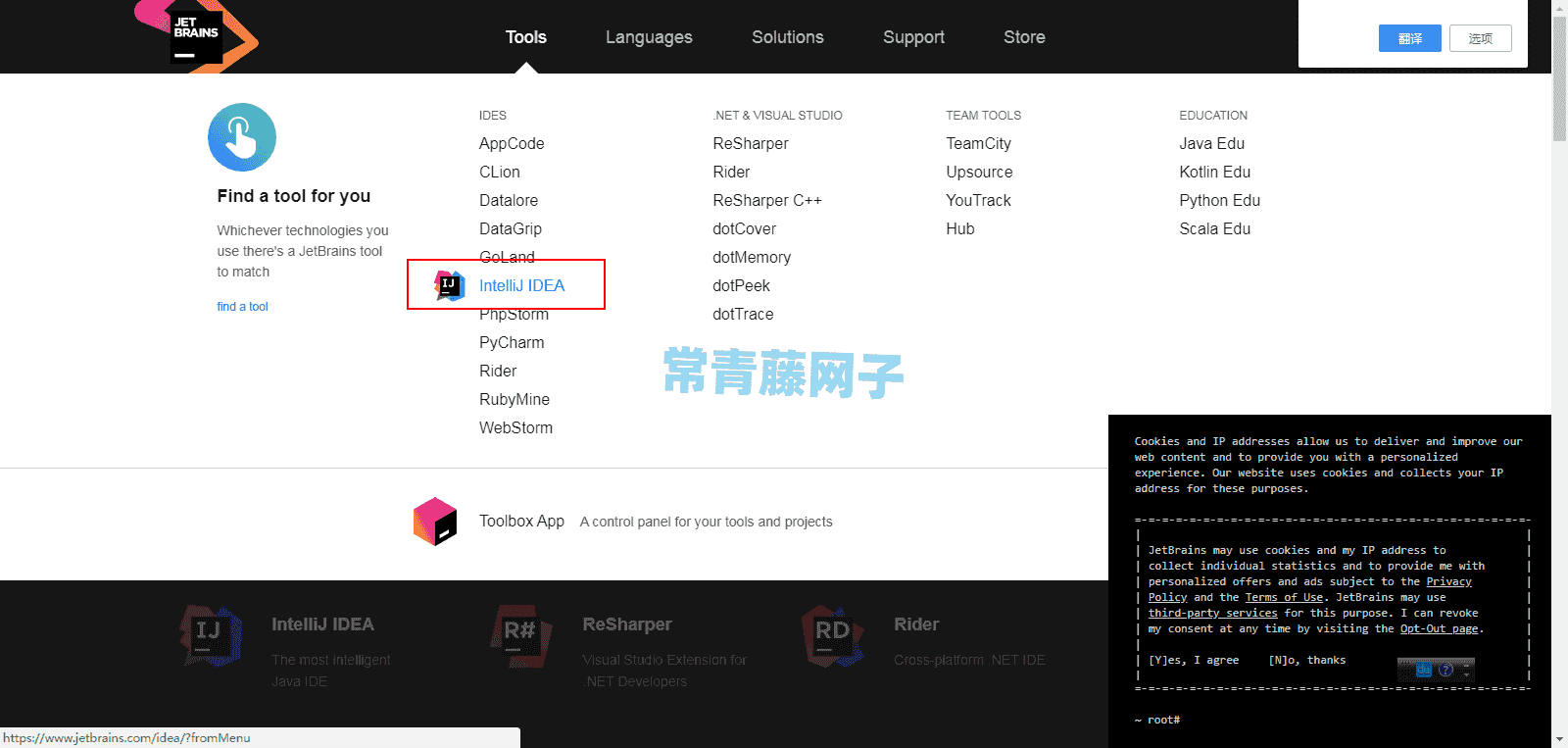 IDEA使用教程+JRebel破解