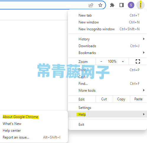 谷歌浏览器更新出现错误代码3：0x80040154图文教程