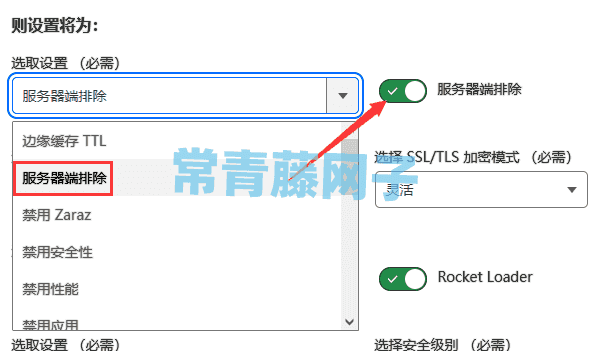 CloudFlare 里的服务器端排除是什么意思？