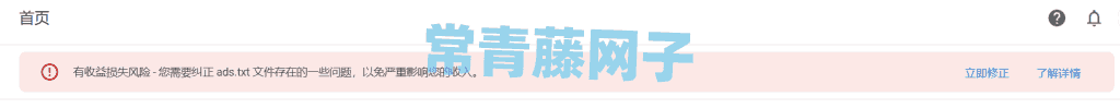 修复谷歌 AdSense 的 Ads.Txt 无效的有收益损失风险提示