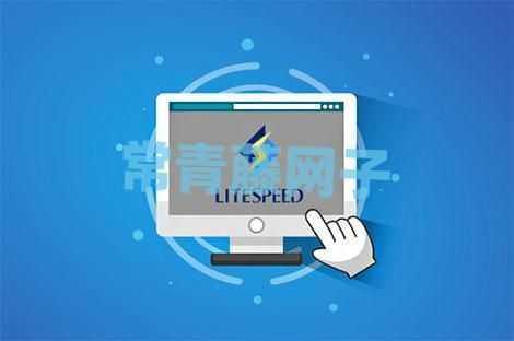 OpenLiteSpeed和LiteSpeed Cache插件提升网站速度