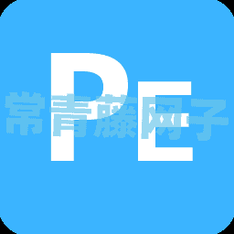 斗鱼PE生成器调教一个你的专属系统。