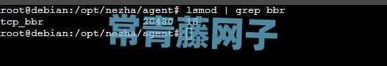 WordPress网站Linux服务器宝塔面板开启BBR加速。