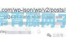 注意：WordPress未禁止wp-json 吃了1个大亏！