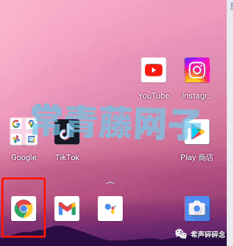 2024年Tiktok注册(图文全教程)