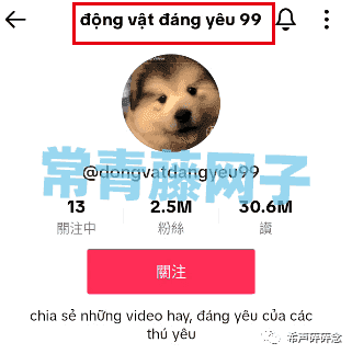 2024年Tiktok注册(图文全教程)