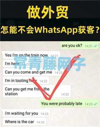 whatsapp获客方法和注册
