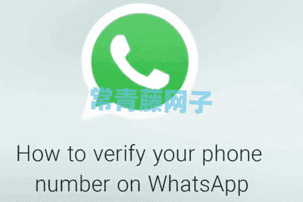 whatsapp2024中文版下载-whatsapp2024中文最新免费下载安卓手机官方正版