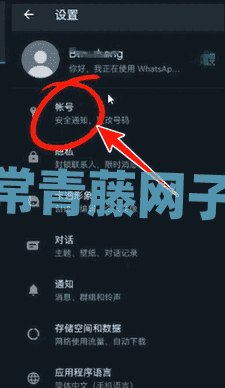 whatsapp2024中文版下载-whatsapp2024中文最新免费下载安卓手机官方正版
