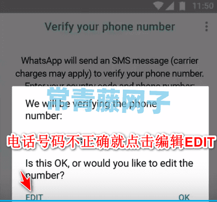 whatsapp文件为什么下载不了的简单介绍