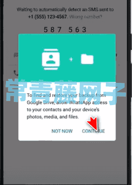 whatsapp2024中文版下载-whatsapp2024中文最新免费下载安卓手机官方正版