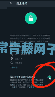 whatsapp2024中文版下载-whatsapp2024中文最新免费下载安卓手机官方正版