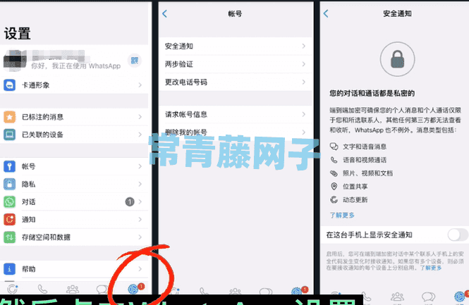 whatsapp2024中文版下载-whatsapp2024中文最新免费下载安卓手机官方正版