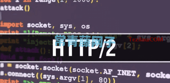 开启HTTP/2 为您的网站加速访问与增加网站稳定性