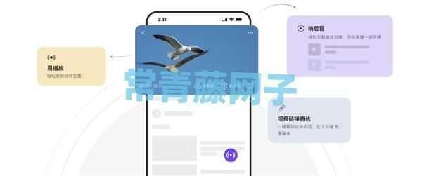 迅雷浏览器App发布：自带10T云盘空间 可在线播放资源
