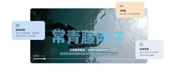 迅雷浏览器App发布：自带10T云盘空间 可在线播放资源。