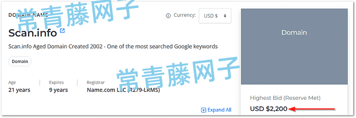 “倒卖域名”，赚了大几千美元。