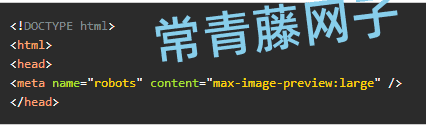 去掉WordPress头部的meta name=