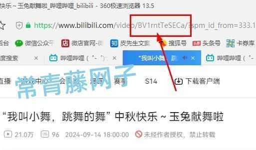 WordPress免插件文章中添加B站视频短码教程