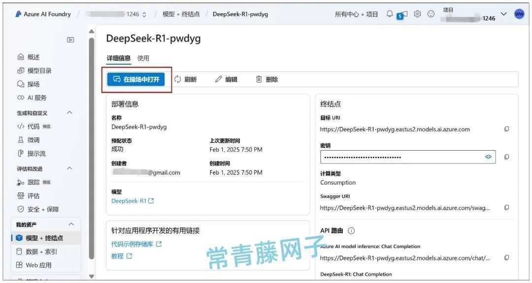 满血版DeepSeek-R1,五大平台白嫖攻略!
