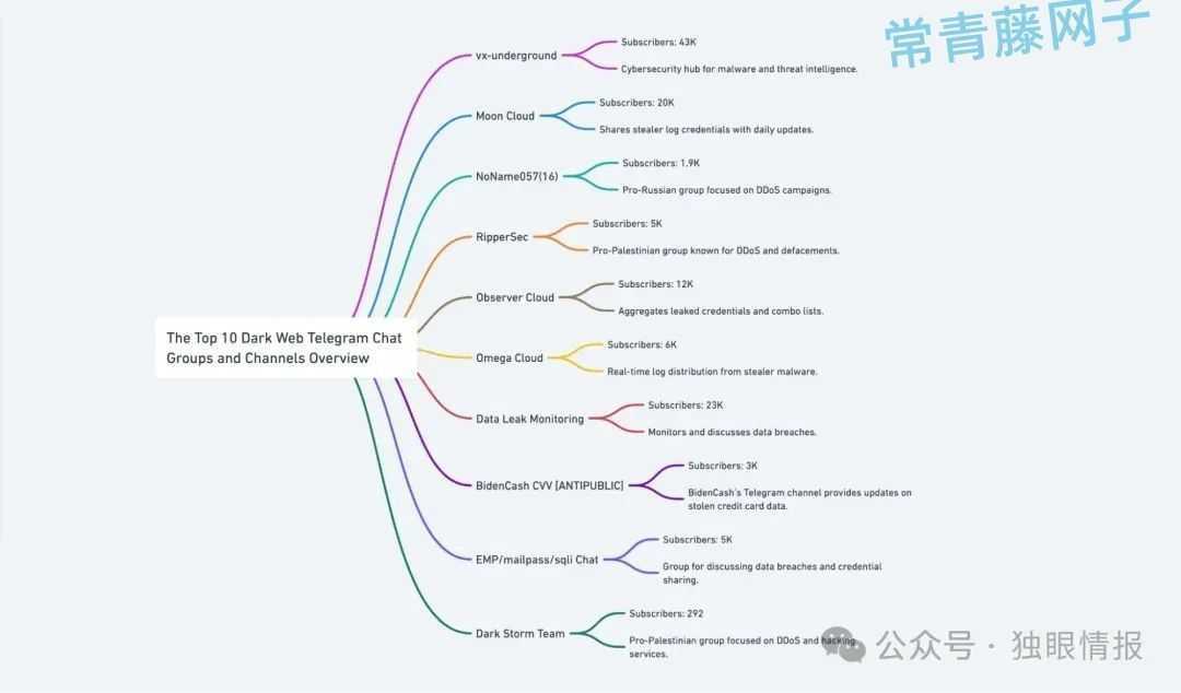 2025年 十大暗网 Telegram 聊天群组和频道