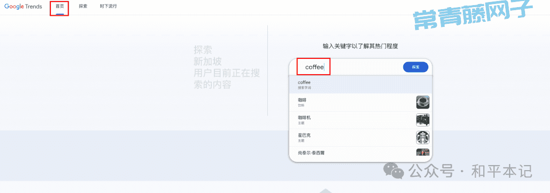 小白如何使用 Google Trends