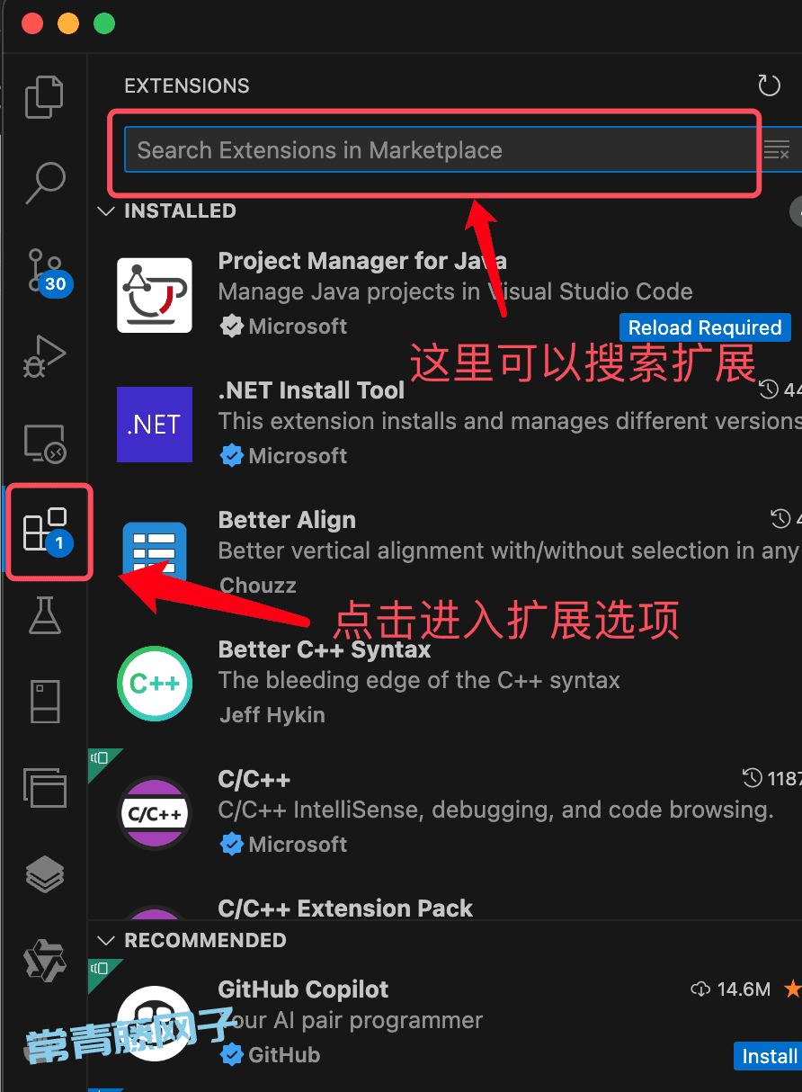 这么多 VS Code AI 扩展，你用过哪几个了？