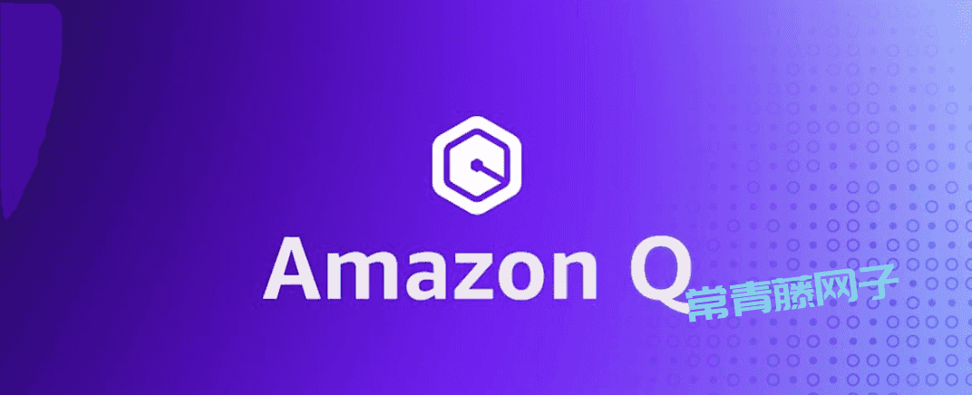 Amazon Q 第一次见在电脑终端里干活的AI