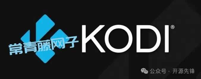 Kodi 狂涨19.5K star!! 再见了电视盒子，一键打造全能家庭影院，太爽了！