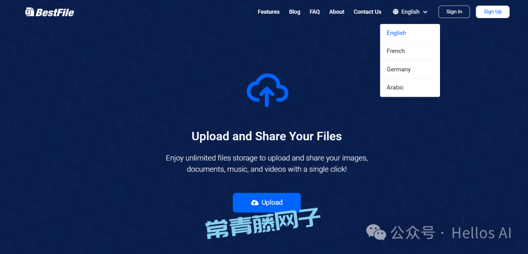 不注册!不限速!无限存储空间!BestFile 这个永久免费的临时网盘,5GB大文件直接发,简直是白嫖党的天堂!