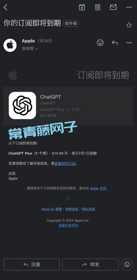ChatGPT - 苹果/安卓（含鸿蒙）支付指南
